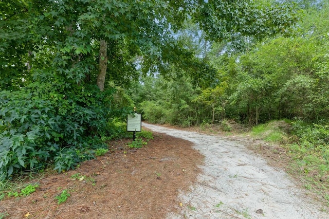 Listing photo 3 for LOT50 Concert Ct, Freeport FL 32439