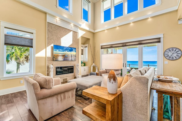 living room featuring a large fireplace, dark hardwood / wood-style flooring, and a high ceiling