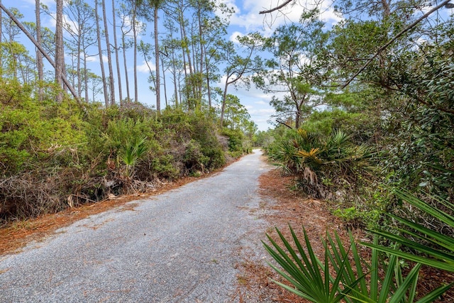 view of road