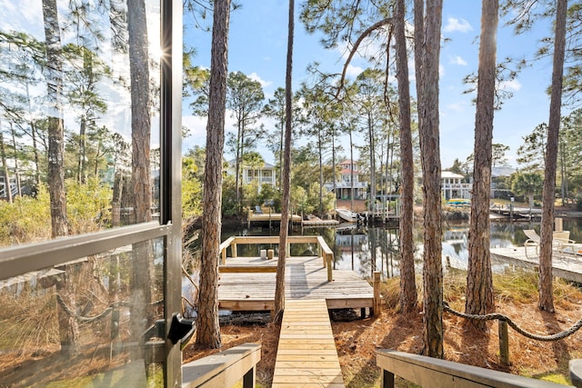 dock area with a water view