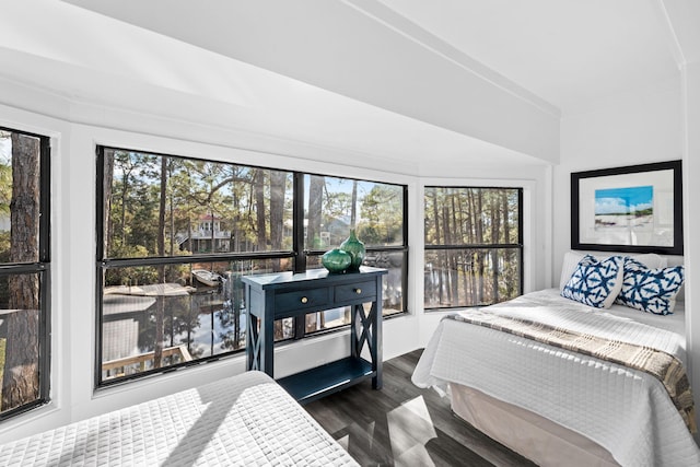 bedroom with dark hardwood / wood-style floors