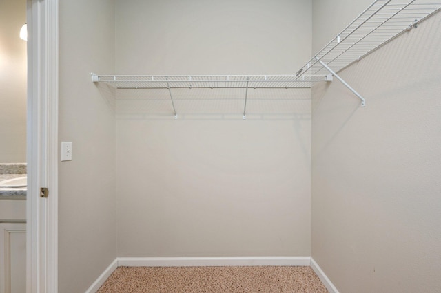 walk in closet featuring carpet flooring