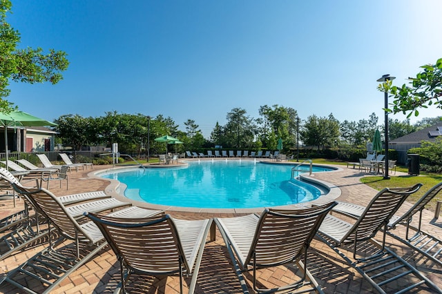 view of pool featuring a patio