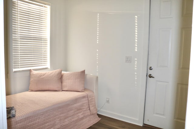 bedroom featuring dark wood-type flooring and multiple windows