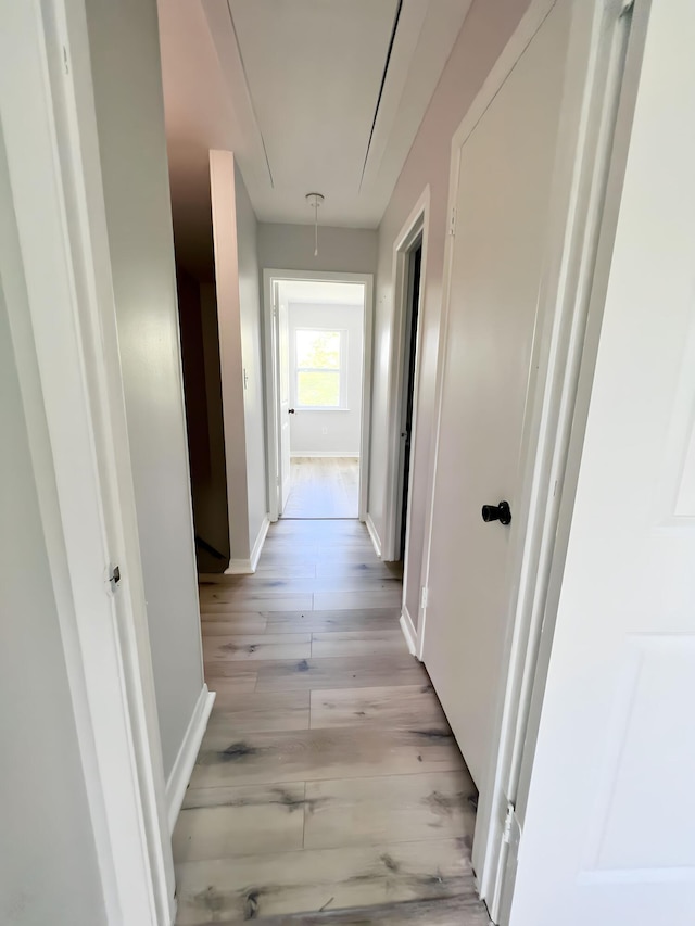 hallway with light hardwood / wood-style flooring