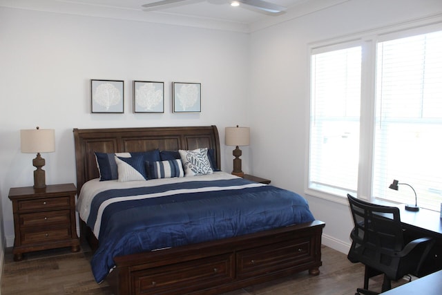 bedroom featuring ceiling fan and dark hardwood / wood-style flooring