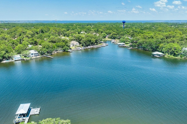 156 Beacon Point Dr, Santa Rosa Beach, FL 32459 - aerial view of a heavily wooded area and a large body of water