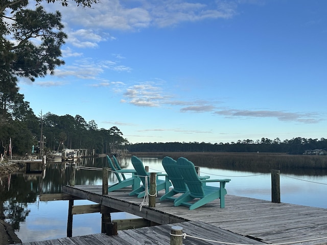 dock area with a water view