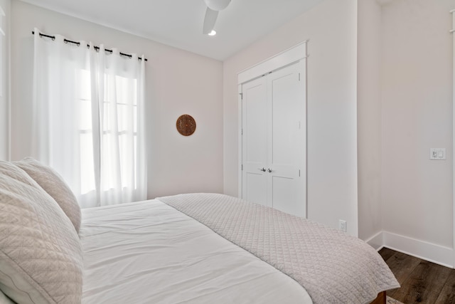 bedroom with dark wood-type flooring, ceiling fan, and a closet