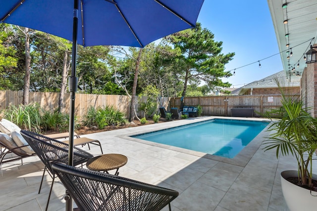 view of pool featuring a patio