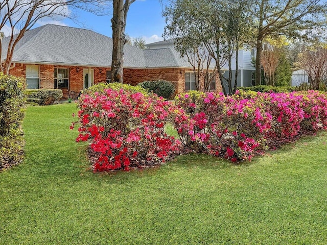 exterior space with a front yard