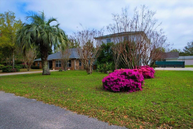 view of front of house with a front yard