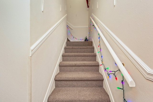 stairway featuring carpet