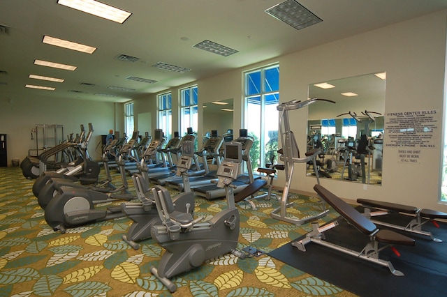 workout area featuring carpet floors