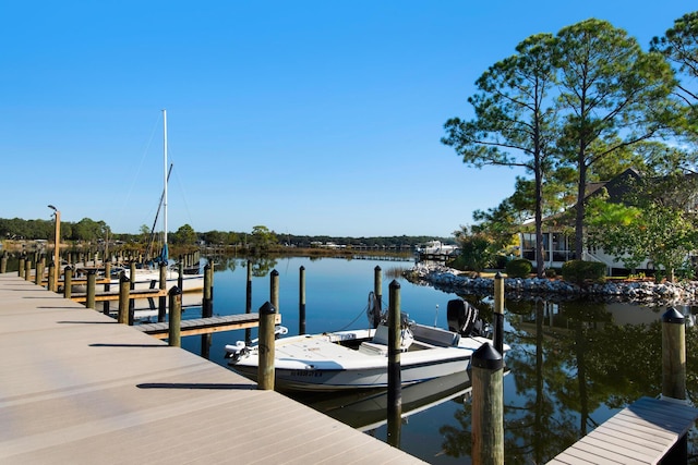 dock area with a water view