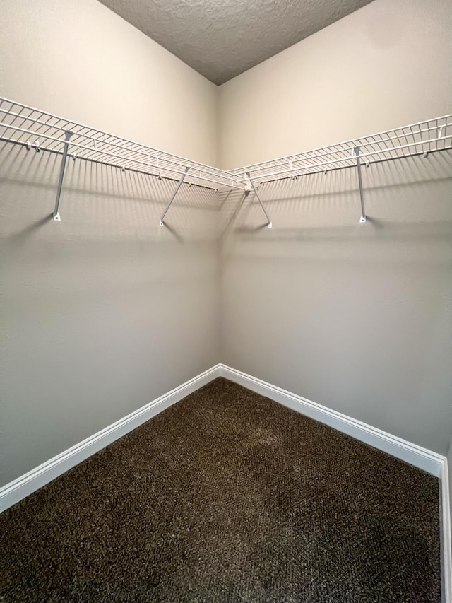 walk in closet featuring carpet