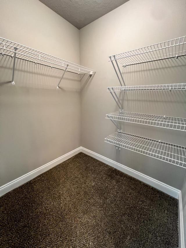 spacious closet featuring carpet flooring