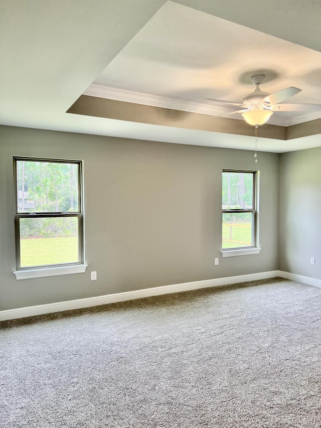 carpeted spare room with ceiling fan and a tray ceiling