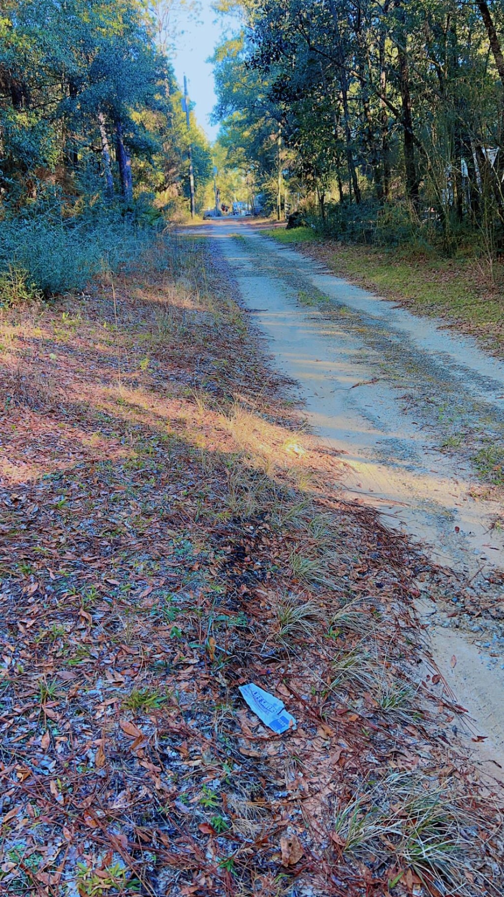 0.17 Tango Ln, Harold, FL 32563