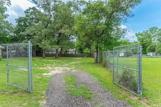 view of yard