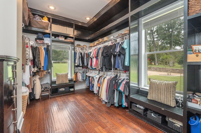 walk in closet featuring dark hardwood / wood-style floors