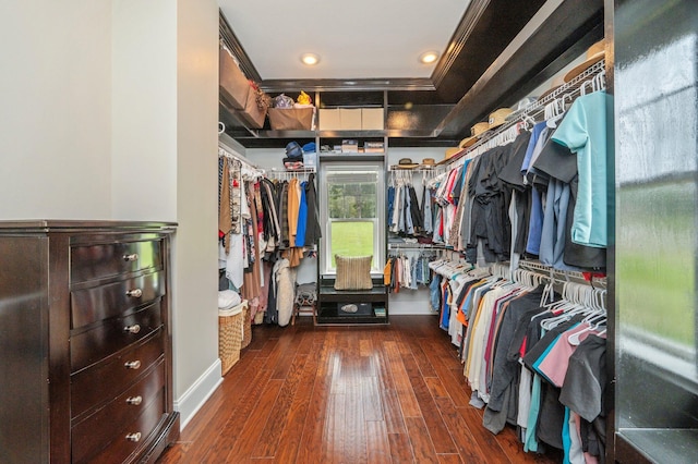 walk in closet featuring dark hardwood / wood-style floors