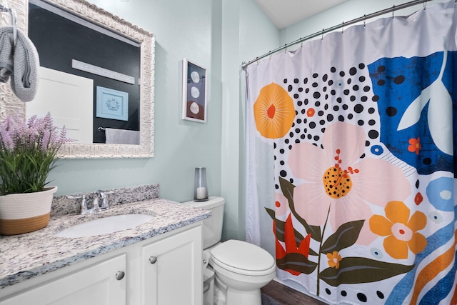 bathroom with wood-type flooring, toilet, vanity, and a shower with curtain