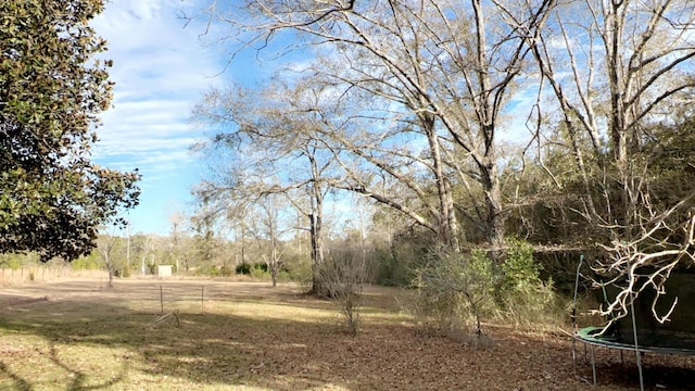 view of yard with a trampoline