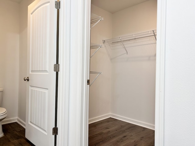 walk in closet with dark wood-type flooring