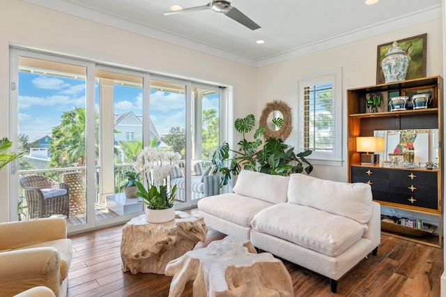 sitting room with ceiling fan, dark wood-type flooring, and crown molding