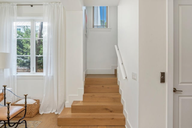 staircase featuring wood-type flooring