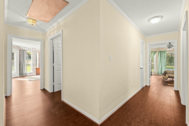 hall with hardwood / wood-style flooring, a wealth of natural light, and a textured ceiling