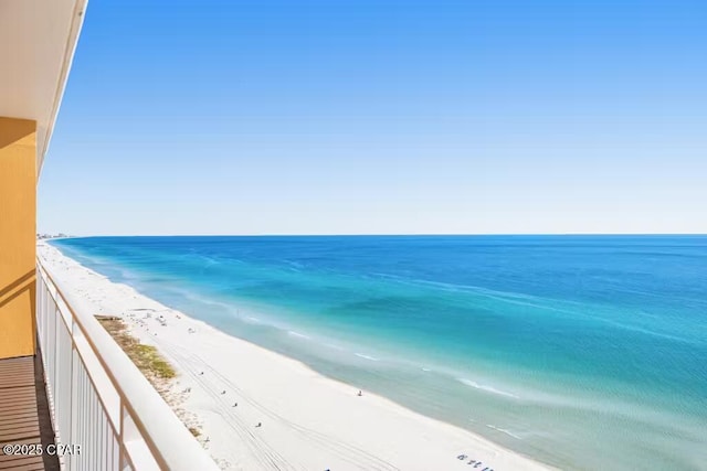 water view featuring a beach view