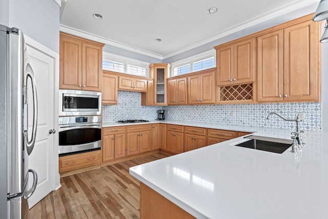 kitchen with sink, ornamental molding, tasteful backsplash, light hardwood / wood-style flooring, and appliances with stainless steel finishes