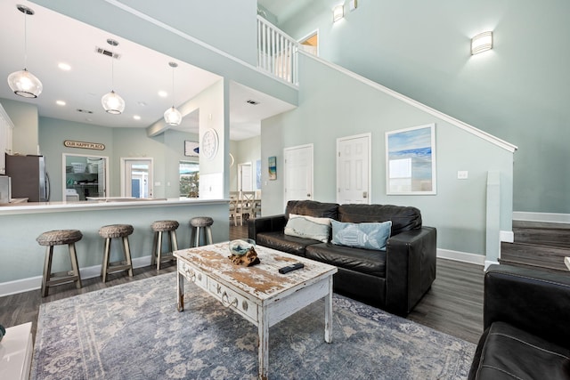 living room featuring a high ceiling and dark hardwood / wood-style floors