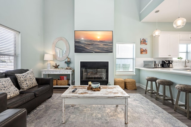 living room featuring dark wood-type flooring, sink, and a high ceiling