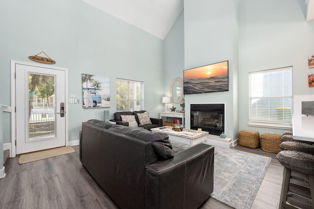 living room with high vaulted ceiling and hardwood / wood-style floors