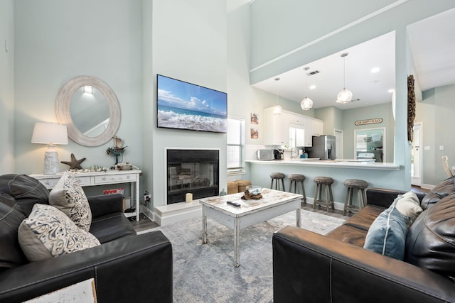 living room with a high ceiling and hardwood / wood-style floors