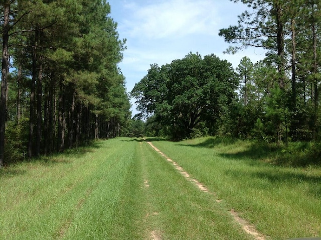 Listing photo 3 for 83A Canopy Oak Blvd, Bonifay FL 32425