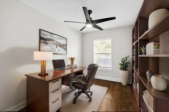 office space featuring dark hardwood / wood-style floors and ceiling fan