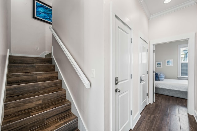 stairs with hardwood / wood-style flooring and crown molding