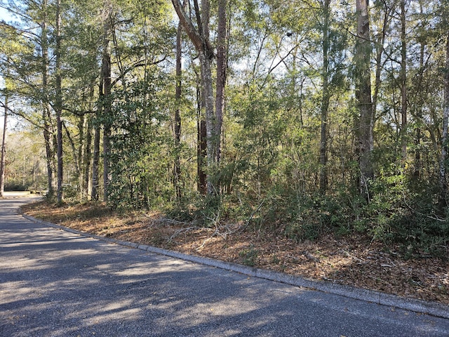 Listing photo 2 for LOT4BLKD Sellers Dr, Opp AL 36467