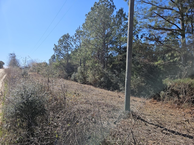 5.5ACRES Prescott Rd, Florala AL, 36442 land for sale