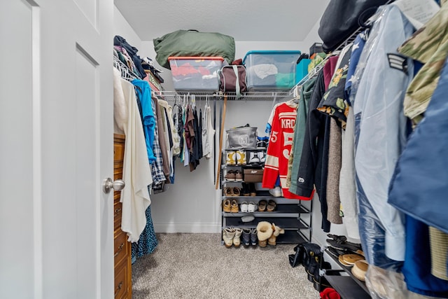 spacious closet featuring carpet floors