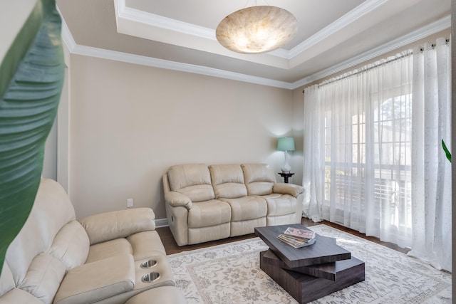 living room featuring crown molding, light hardwood / wood-style flooring, and a raised ceiling