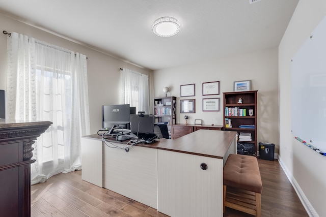 office space featuring wood-type flooring