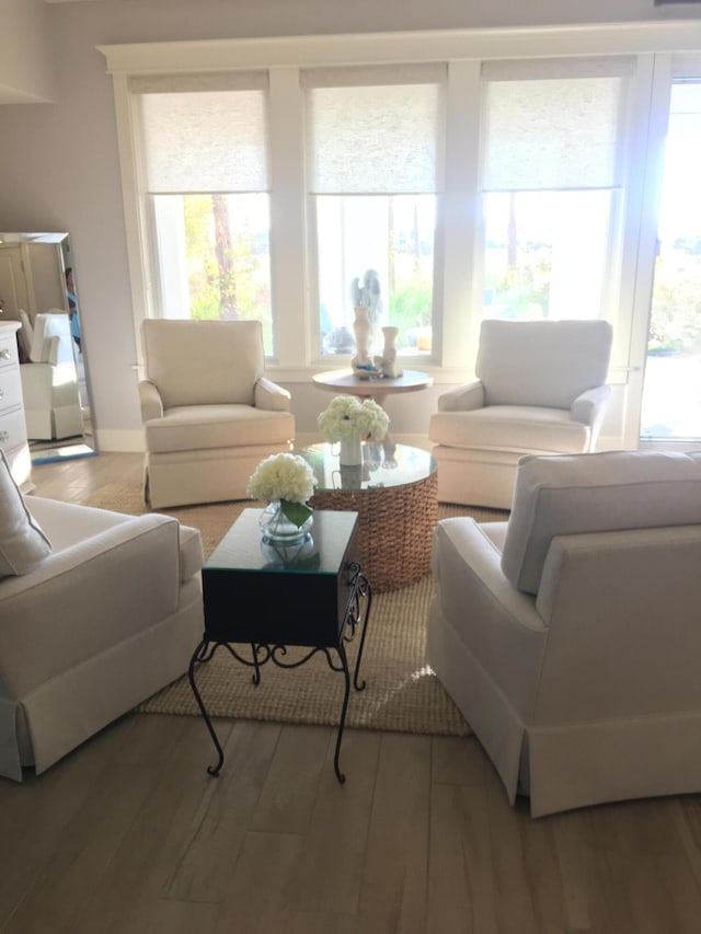 living room featuring wood-type flooring