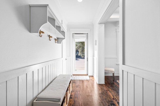 mudroom featuring ornamental molding and dark hardwood / wood-style flooring