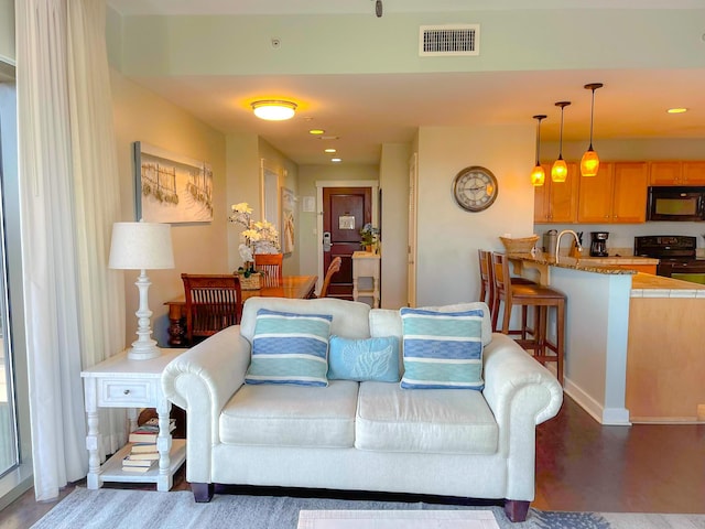 living room featuring dark hardwood / wood-style flooring and sink