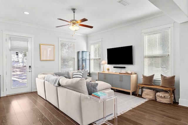 living room with dark wood-type flooring, a wealth of natural light, and crown molding